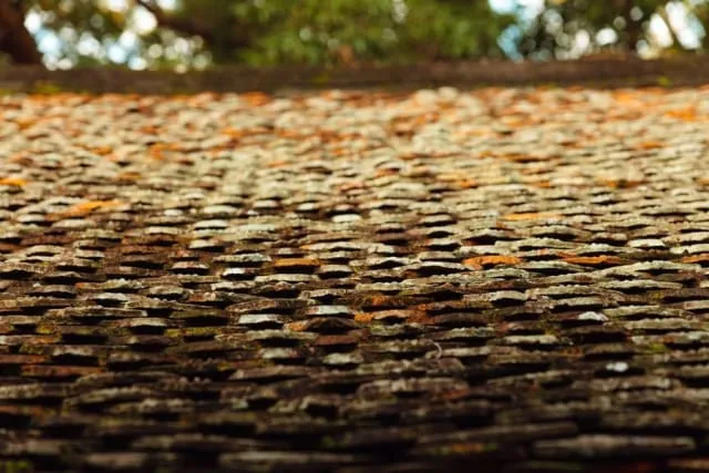 Moss being cleared from a tiled roof in Brighton